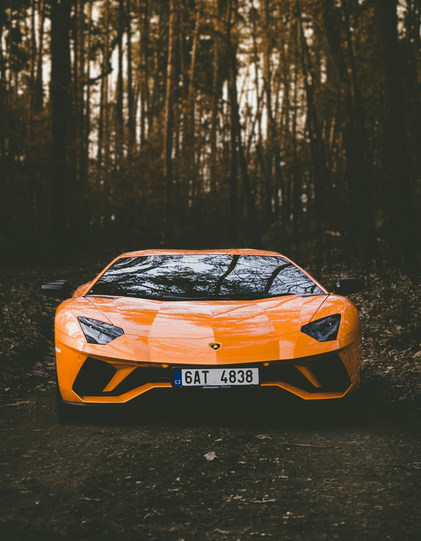 Tail Lights